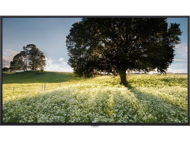 Affordable Smart Signage 50 inch